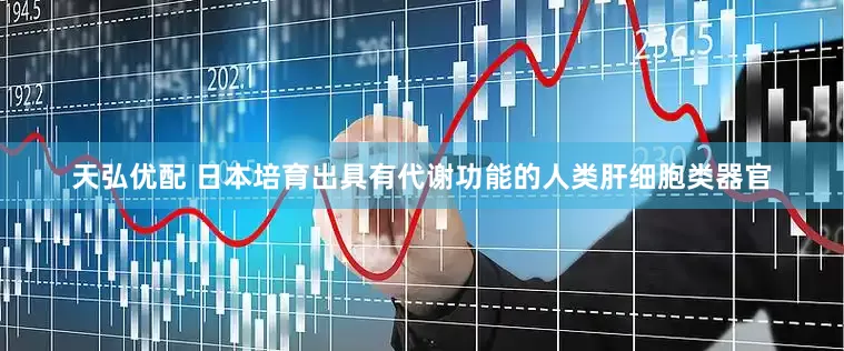 天弘优配 日本培育出具有代谢功能的人类肝细胞类器官