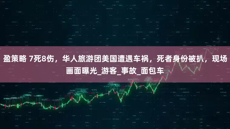 盈策略 7死8伤，华人旅游团美国遭遇车祸，死者身份被扒，现场画面曝光_游客_事故_面包车