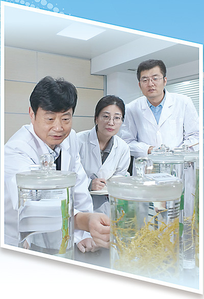 赢赢顺配资 一粒新型复合肥的田间突围(科技视点·看科技成果如何“变身”新质生产力)