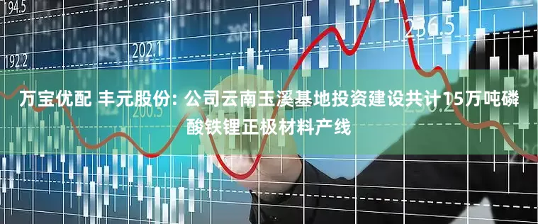 万宝优配 丰元股份: 公司云南玉溪基地投资建设共计15万吨磷酸铁锂正极材料产线