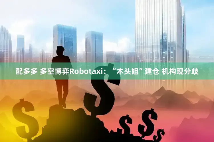 配多多 多空博弈Robotaxi：“木头姐”建仓 机构现分歧